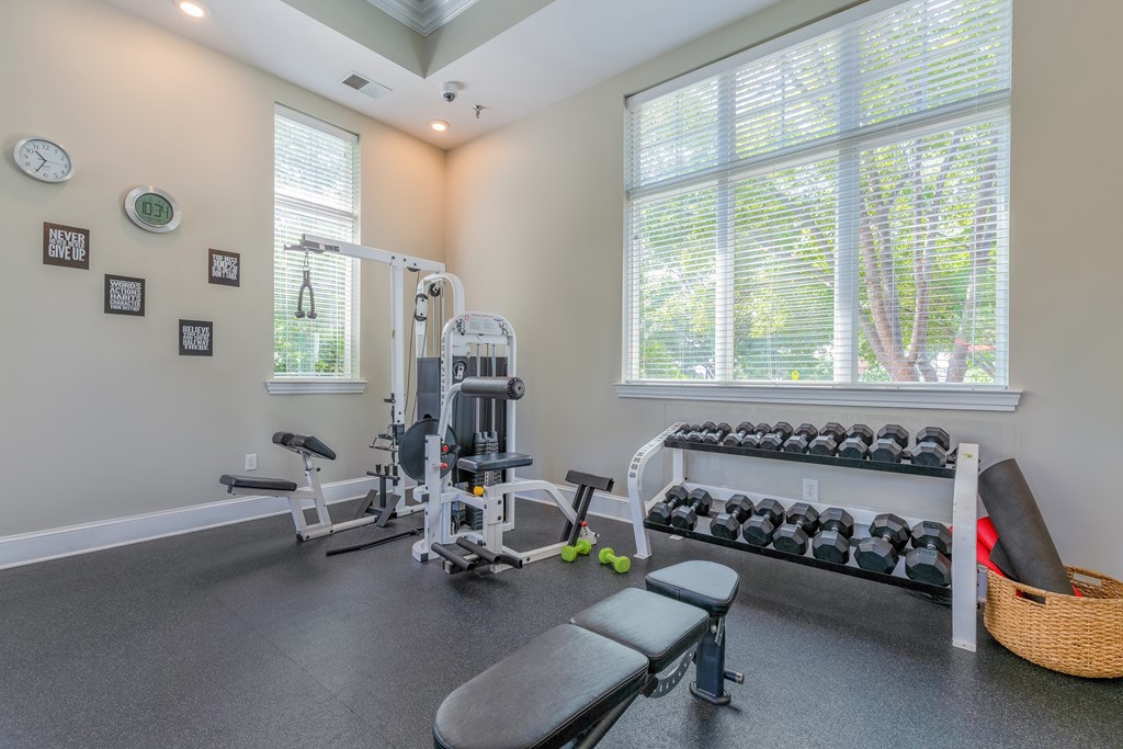 A home gym with a bench, weights, and exercise equipment.