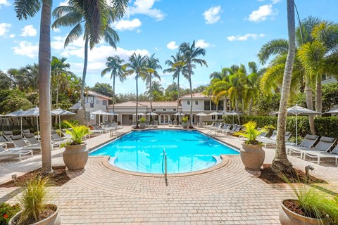 a large swimming pool surrounded by palm trees