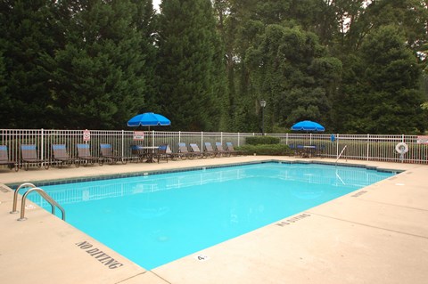 a swimming pool with chairs and umbrellas in front of trees
