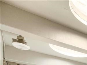 Ellicott House | Apartments for Rent Washington, DC | Indoor Swimming Pool