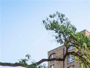 Ellicott House | Apartments for Rent Washington, DC | Exterior