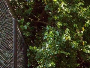 Ellicott House | Apartments for Rent Washington, DC | Grilling Area