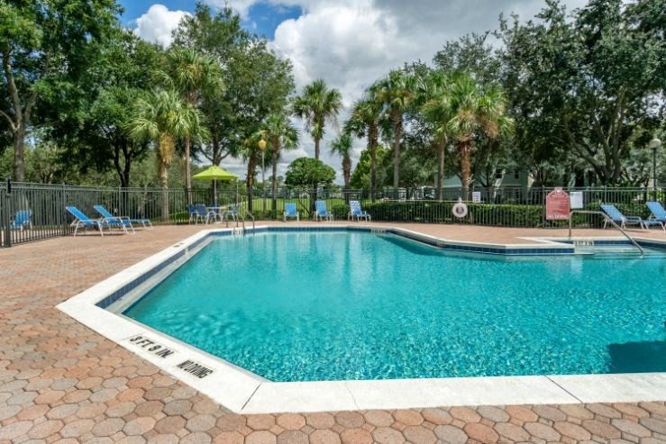 Swimming pool with lounge seating surrounded by native landscaping