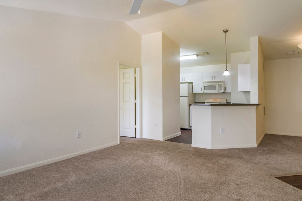Spacious living room with carpet flooring