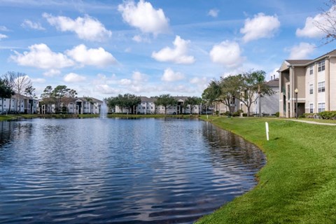 Waterfront View with Trees and Building Exteriors