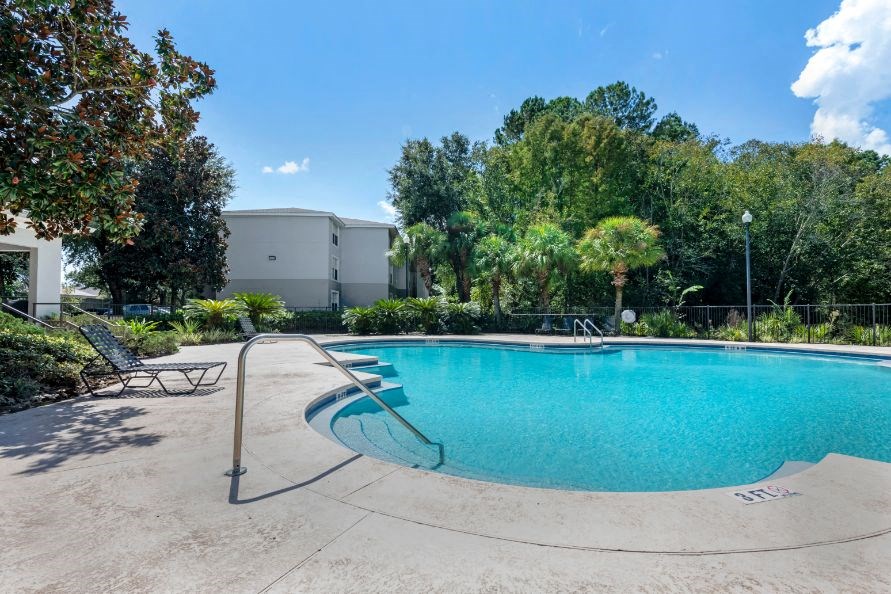 Swimming pool with lounge seating surrounded by native landscaping