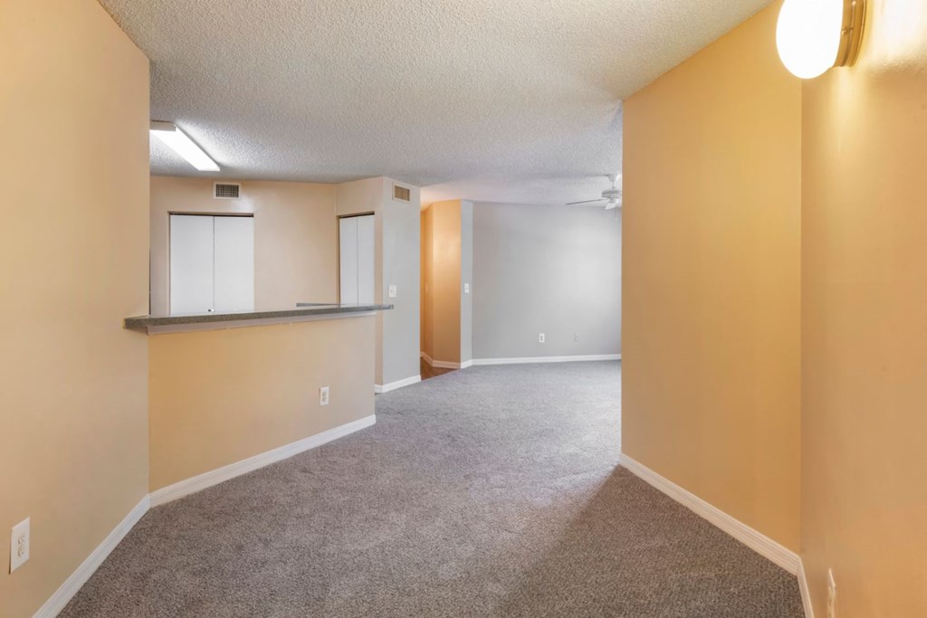 Dining room with carpet flooring