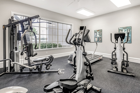 Fitness center with strength and conditioning equipment and large windows for natural lighting