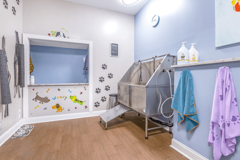 a baby room with a cot and wall stickers on the wall at Elan at Mallard Creek Apartment Homes, North Carolina, 28269