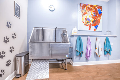 a stainless steel sink in a bathroom with a colorful painting on the wall at Elan at Mallard Creek Apartment Homes, North Carolina