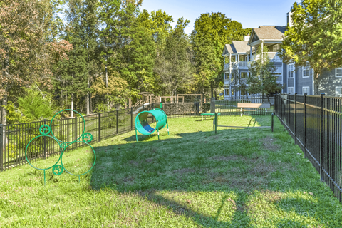 our apartments showcase a dog park with a playground at Elan at Mallard Creek Apartment Homes, Charlotte, NC