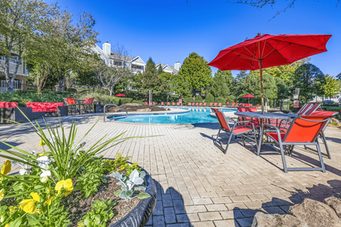 our apartments showcase a swimming pool at Elan at Mallard Creek Apartment Homes, Charlotte