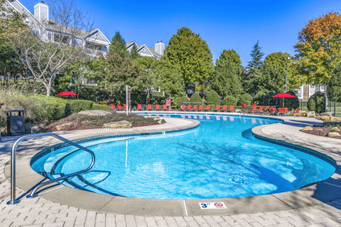 Swimming at Elan at Mallard Creek Apartment Homes, North Carolina, 28269