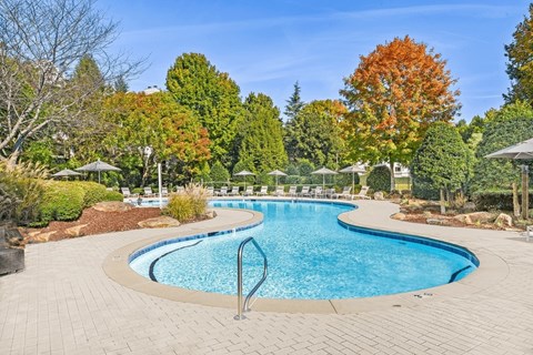 A swimming pool surrounded by a brick patio and trees.
