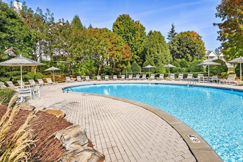 a resort style swimming pool with lounge chairs and umbrellas