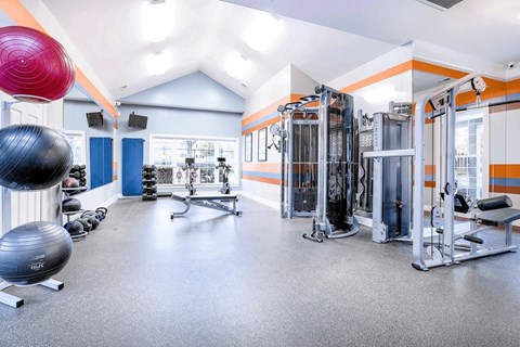 A gym with a variety of equipment including a squat rack, a leg press machine, and a rowing machine.