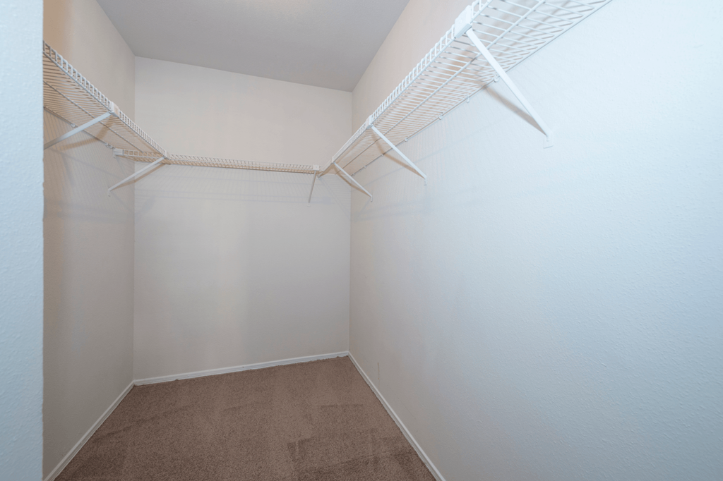 an empty closet with white walls and a brown carpet