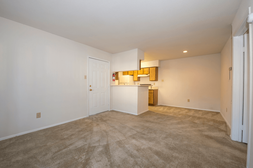 the living room and kitchen of an apartment with carpeted flooring and white walls