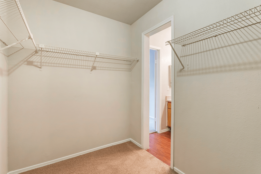 a closet in a bedroom with a door to a hallway with a closet door open