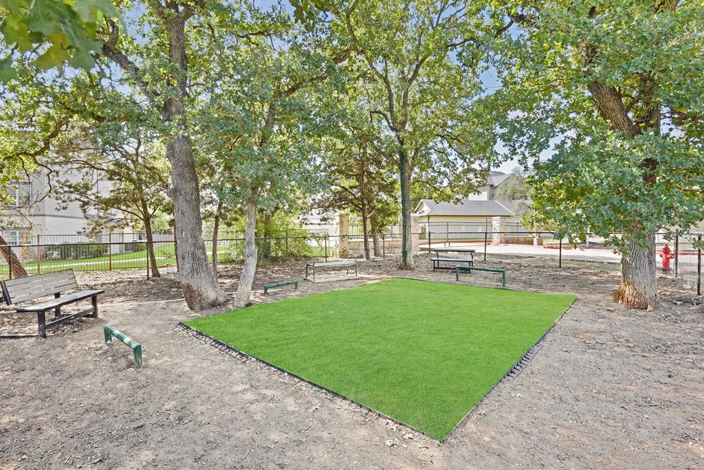 a grassy area with benches and trees