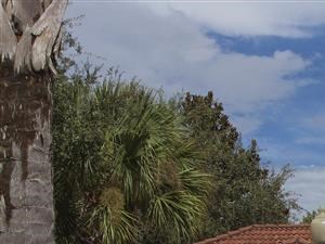 The Legends at Champions Gate | Apartments for Rent in Champions Gate, FL | Leasing Office