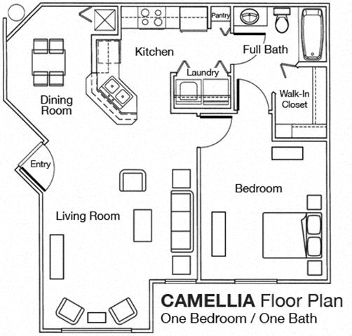 1 Bed 1 Bath Floor Plan