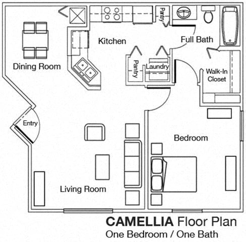 1 Bedroom 1 Bathroom Floor Plan