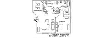 1 Bedroom 1 Bathroom Floor Plan