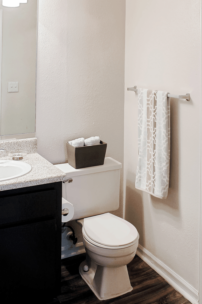 a bathroom with a toilet and a sink and a mirror