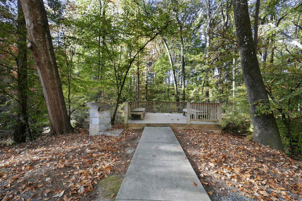 a bench in the middle of a trail in the woods