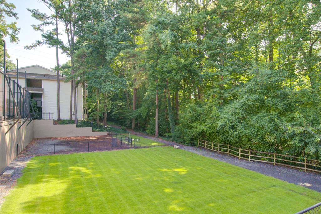 a backyard with a lawn and a house
