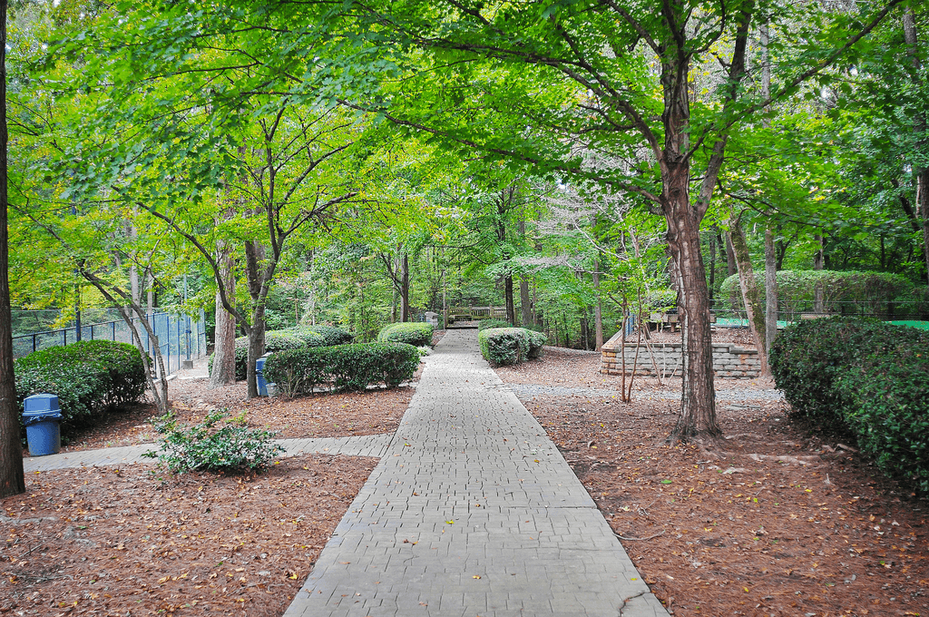 a path through a park with trees and bushes
