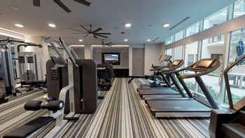 Interior of fitness center facing treadmills, workout equipment, and exterior windows - Photo Gallery 101