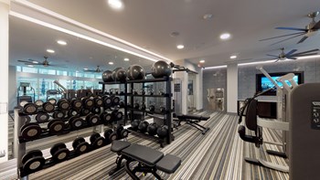 Fitness center area facing weight station - Photo Gallery 30