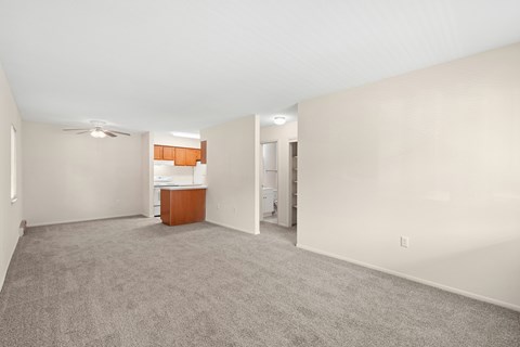A room with a carpeted floor and a ceiling fan.
