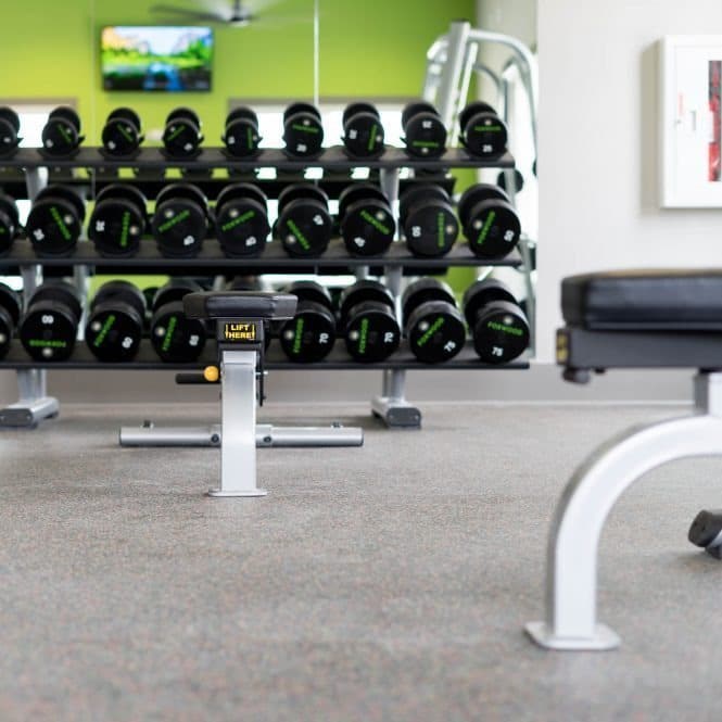 A gym with a row of black dumbbells on racks at Foxwood Apartments, Raleigh-Durham, 27616
