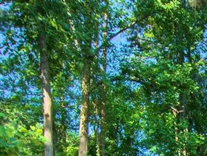 Playground | The Retreat at Kedron Village Apartment Homes Peachtree City, GA