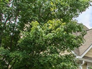Exterior | The Retreat at Kedron Village Apartment Homes Peachtree City, GA
