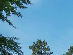 Exterior | The Retreat at Kedron Village Apartment Homes Peachtree City, GA