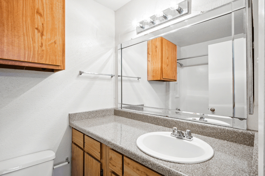 a bathroom with a sink and mirror
