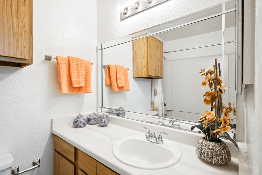 a bathroom with a sink and mirror