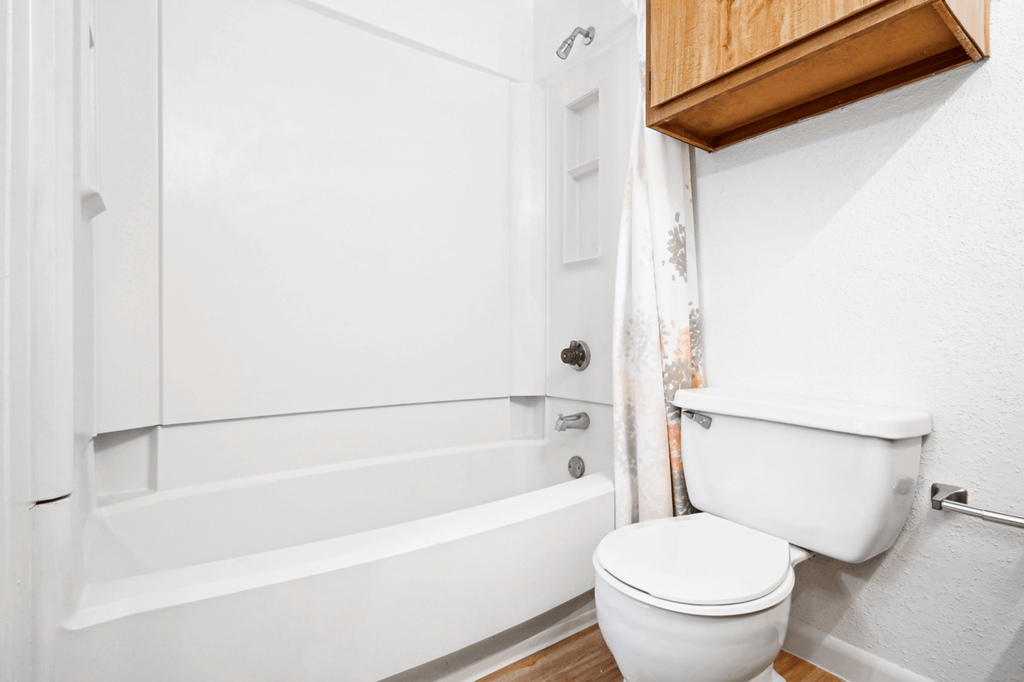 a bathroom with a toilet and a bathtub