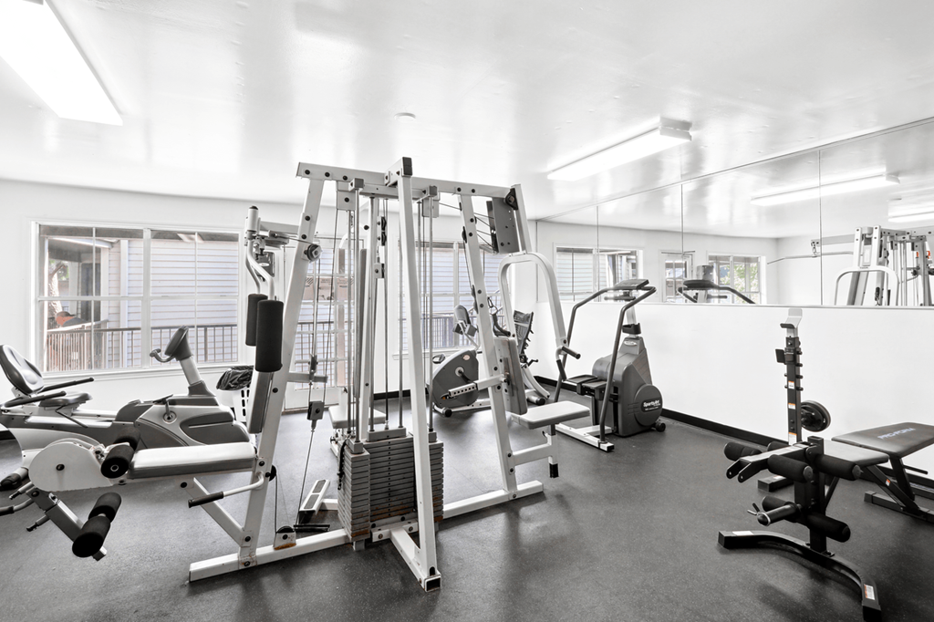 a gym with a lot of exercise equipment