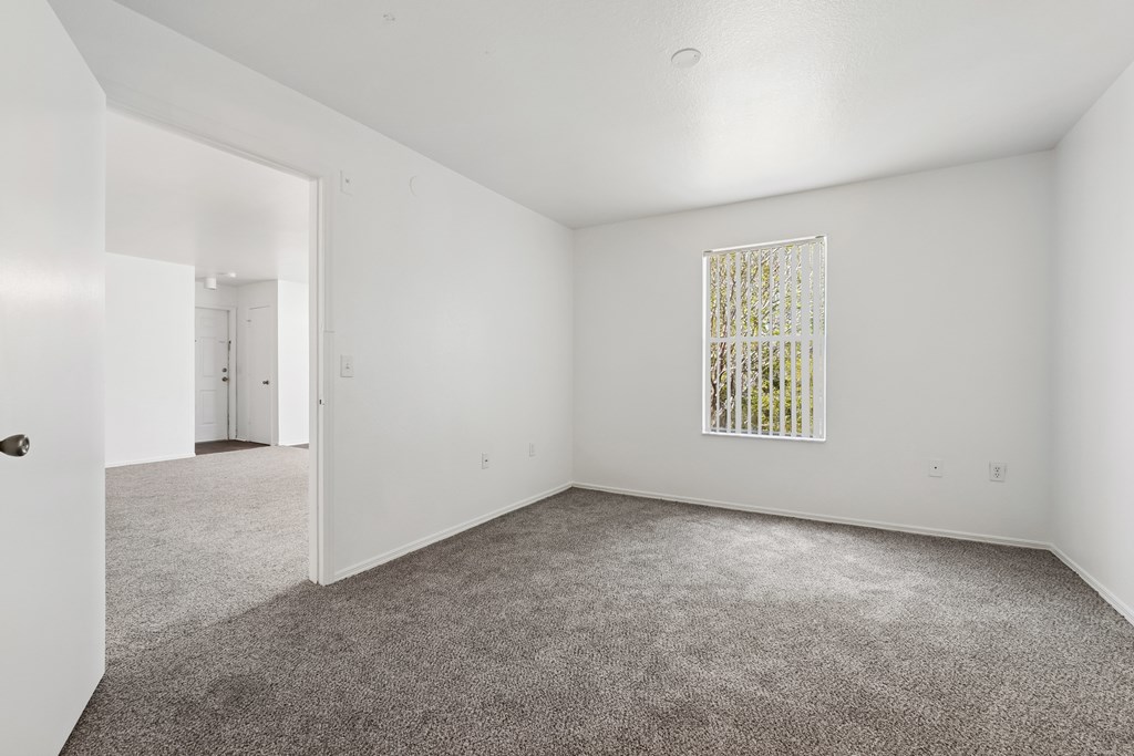 A room with a carpeted floor and a window with a white frame.