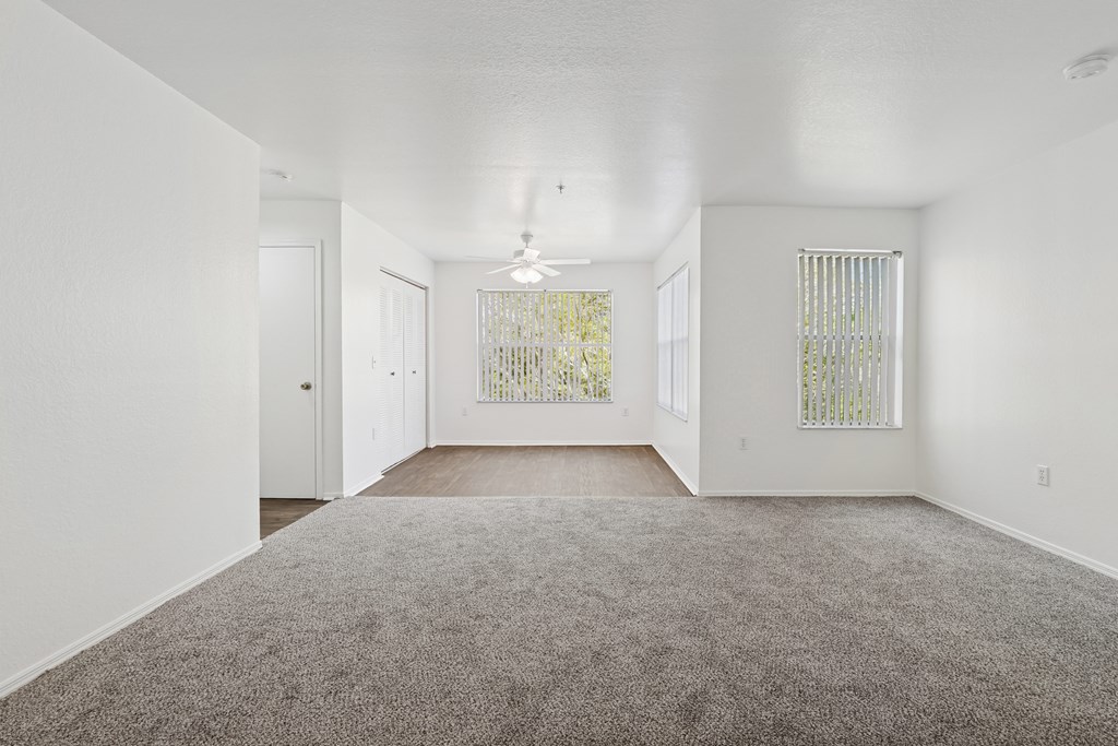 A spacious room with a grey carpet and a window with blinds.