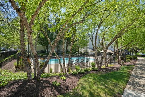 A pool surrounded by trees and a fence.