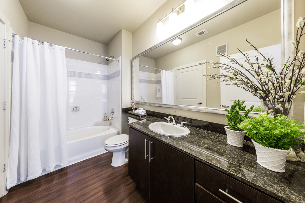 a bathroom with a sink and a toilet