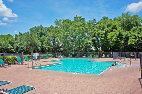 our apartments showcase an unique swimming pool