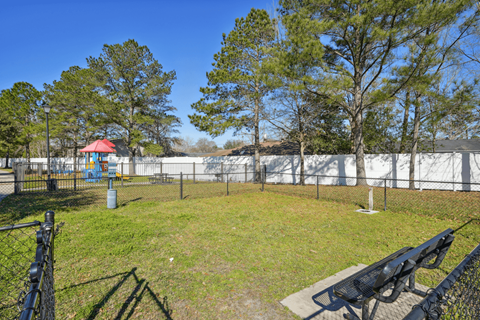 a view of a park with trees and a fence