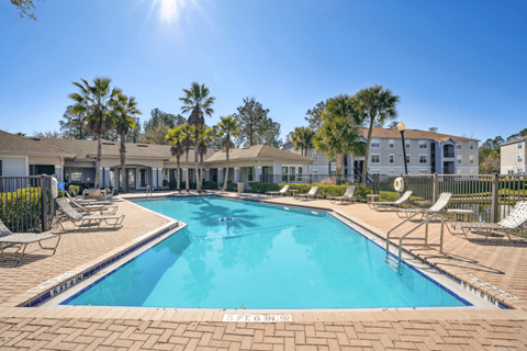 our apartments have a swimming pool with chairs and palm trees
